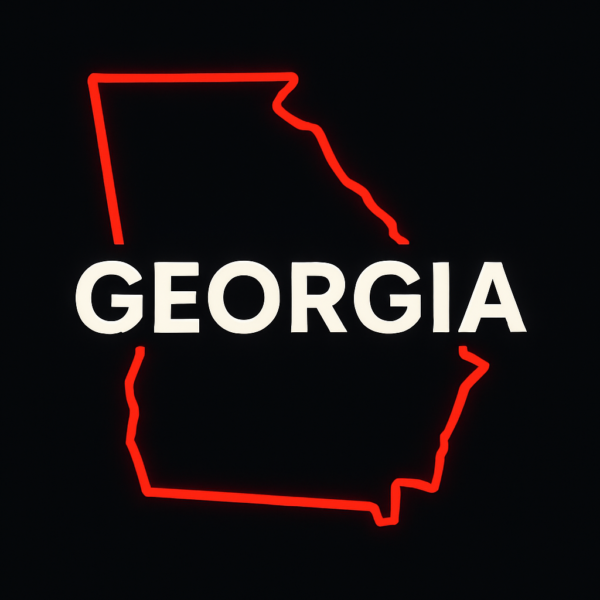 outline of the state of Georgia, United States, with the word Geogia written across in white